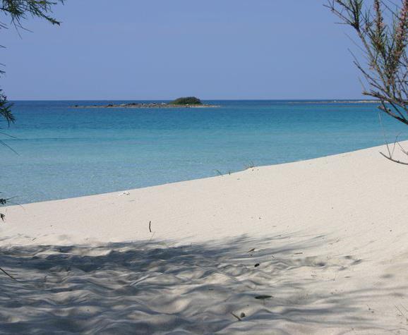 Villa Arneide Bed And Breakfast Torre Lapillo Luaran gambar
